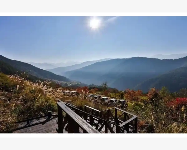 MT4电脑版稳定运行长效维护实用方法_账户状态异常引发的登录失败