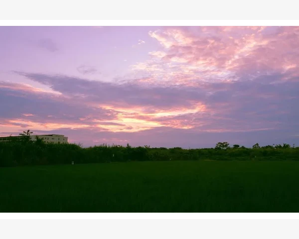 MT4历史文件夹文件打不开的格式真相与处理办法_经纪商限制特殊品种的访问权限