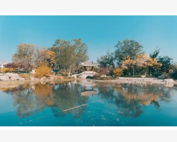 MT4手机电脑持仓不同步手动刷新连接状态全解_先分清是显示问题还是连接问题