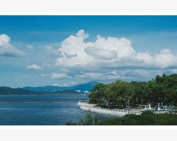 MT4服务器选择关键因素与操作流程详解