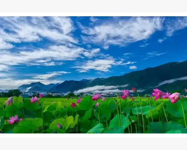 MT4能否查看股票加密货币行情取决于经纪商