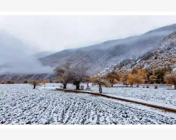 MT4电脑版账户信息管理全流程操作指引_通知记录和邮件那里容易犯迷糊