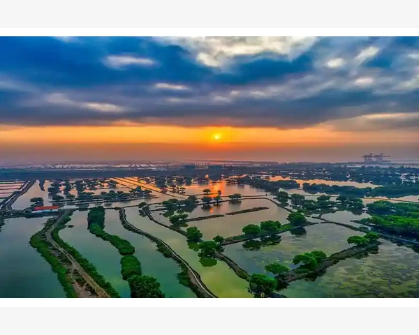 MT4电脑版历史行情调取恢复技巧全掌握_Ping值的本质含义与测量逻辑