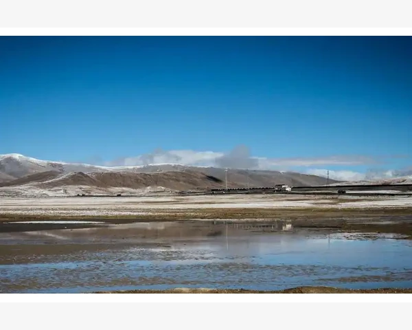 免费B2B平台挑选与发布技巧_长期发展需关注联盟的迭代与退出机制