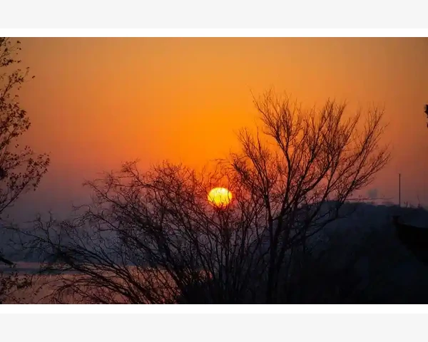 MT4里看个余额净值翻了半天才找到位置_账户历史窗口到底藏在哪儿