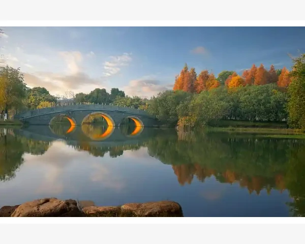 MT4电脑版图表卡得像放映机这锅到底谁来背_订单执行相关设定关系到实际交易安全