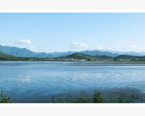 MT4订单保护状态核查方法详解_批量删除当前图表全部线条
