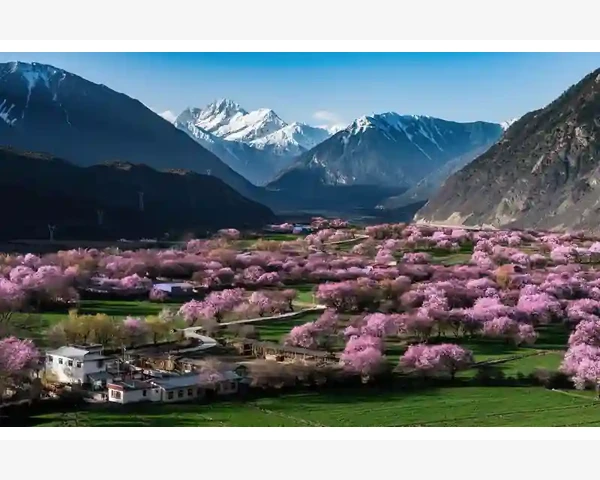 MT4报告生成失败原因排查与处理办法_手续费到底扣在哪一步