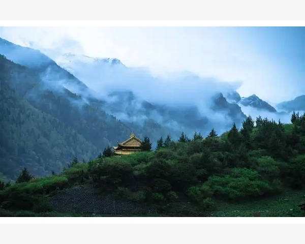 电脑上MT4的通知记录到底藏哪了翻半天找不着_资金数据随交易状态动态变化