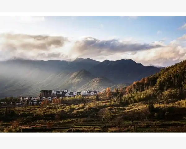 MT4数据窗口数值消失悬停指标线自动刷新技巧_交易品种属性与订单类型设置不当