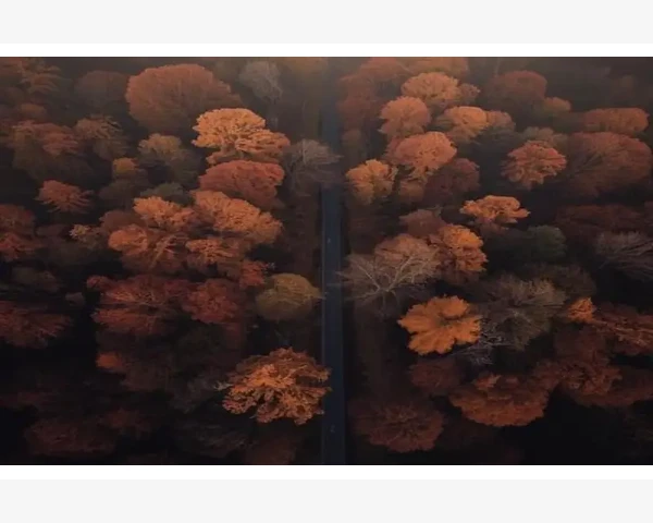 MT4电脑版多图窗口排列布局完全掌握_MT4电脑版多图窗口排列布局完全掌握