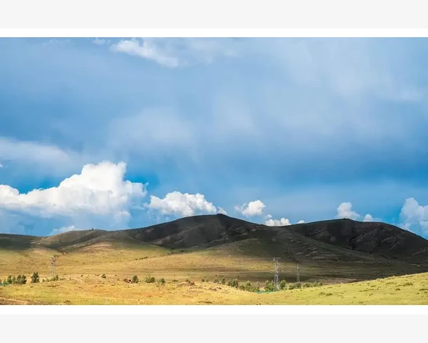 商家报名B2B行业团购如何撬动批量订单_常见故障排查与解决方案