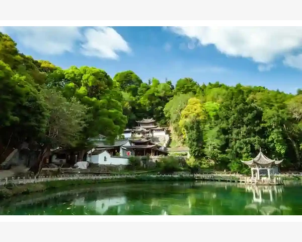 模拟盘盈利实盘亏损心态与执行力的真正差距_模拟盘盈利实盘亏损心态与执行力的真正差距