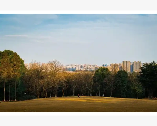 AB=CD形态在MT4里怎么量才不算瞎画_图表配置文件实现整套布局一键切换
