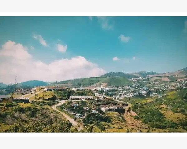 MT4止损单触发后其他挂单不受影响的真相_MT4止损单触发后其他挂单不受影响的真相