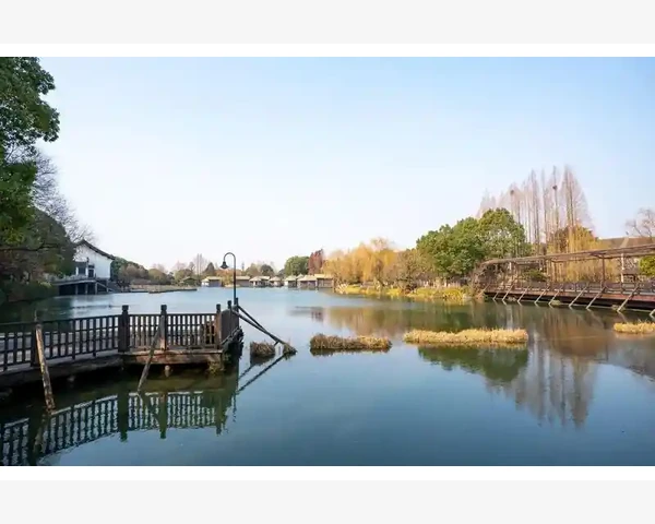 MT4账户资金变动追踪方法详解_利用图表窗口复制功能精准迁移