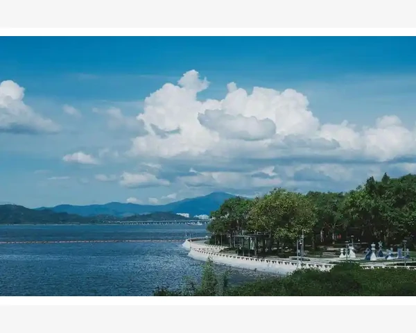 MT4一键市价下单快速成交实操要点_左边窗口那一堆玩意儿